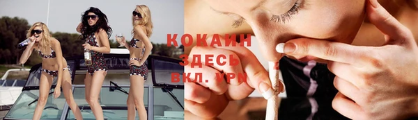 прущие грибы Красноперекопск