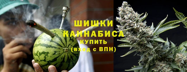 прущие грибы Красноперекопск