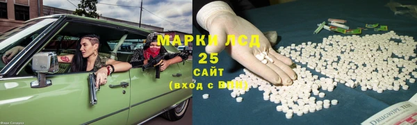 прущие грибы Красноперекопск
