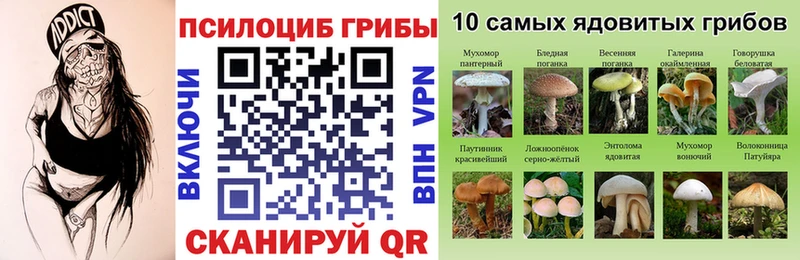 купить наркотики цена  Мостовской  Галлюциногенные грибы GOLDEN TEACHER 